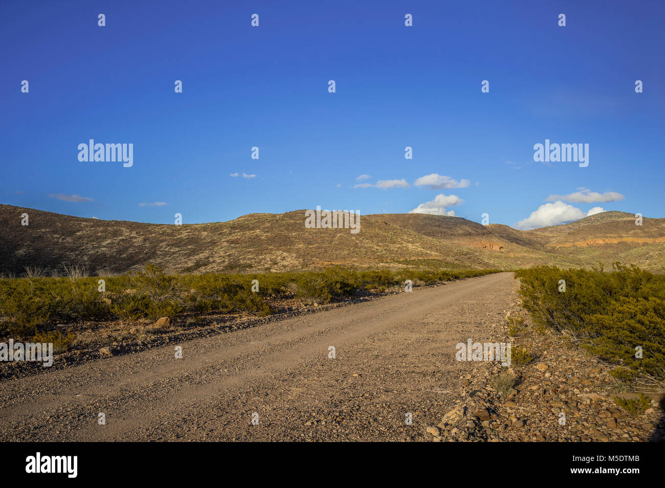 Strada sterrata nel deserto dell'Arizona Foto Stock