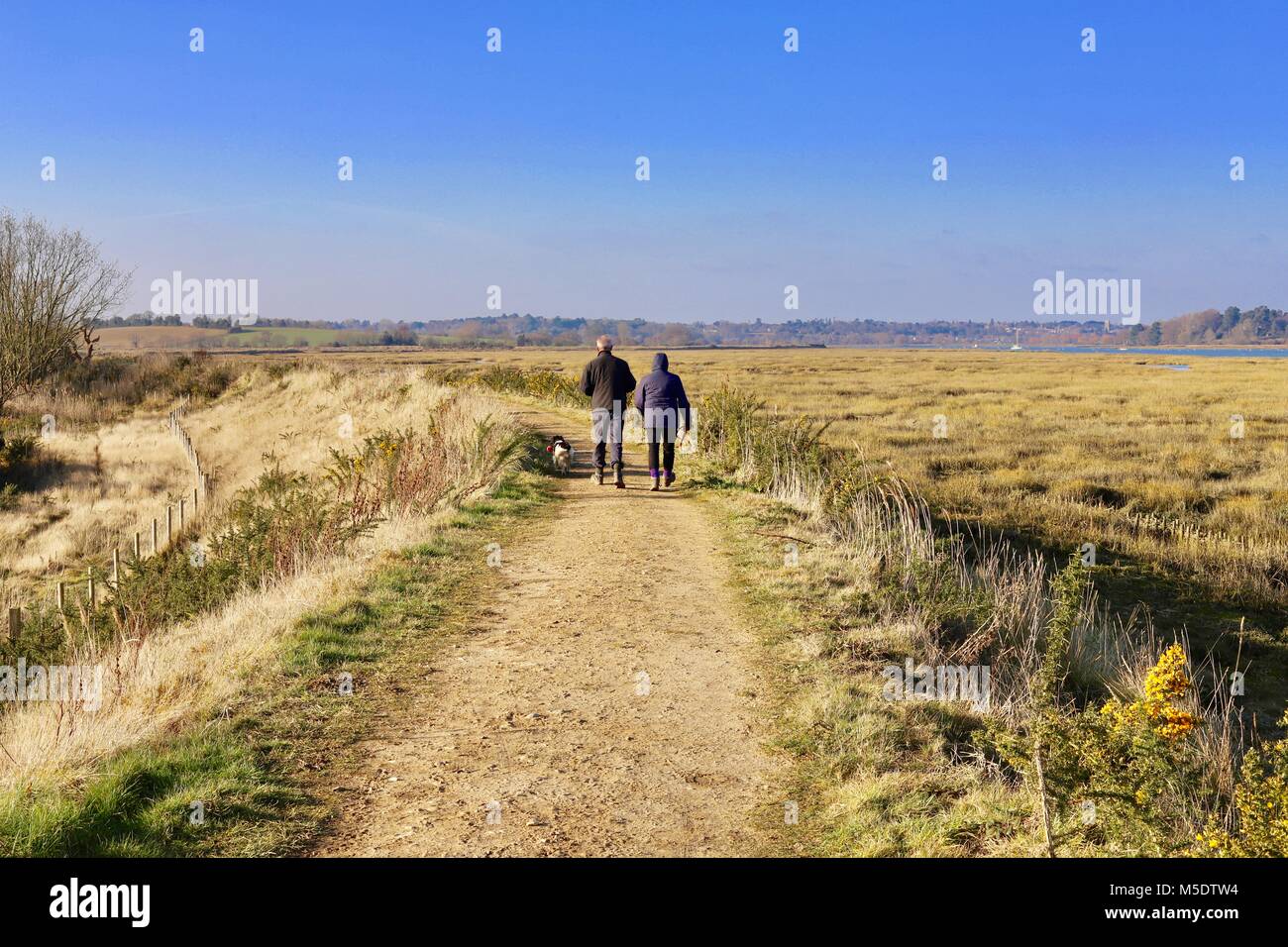 Un paio di adulti godendo di una campagna a piedi nelle zone rurali di Suffolk. Sulla parete del fiume dal fiume Deben, Waldringfield, Suffolk. Foto Stock