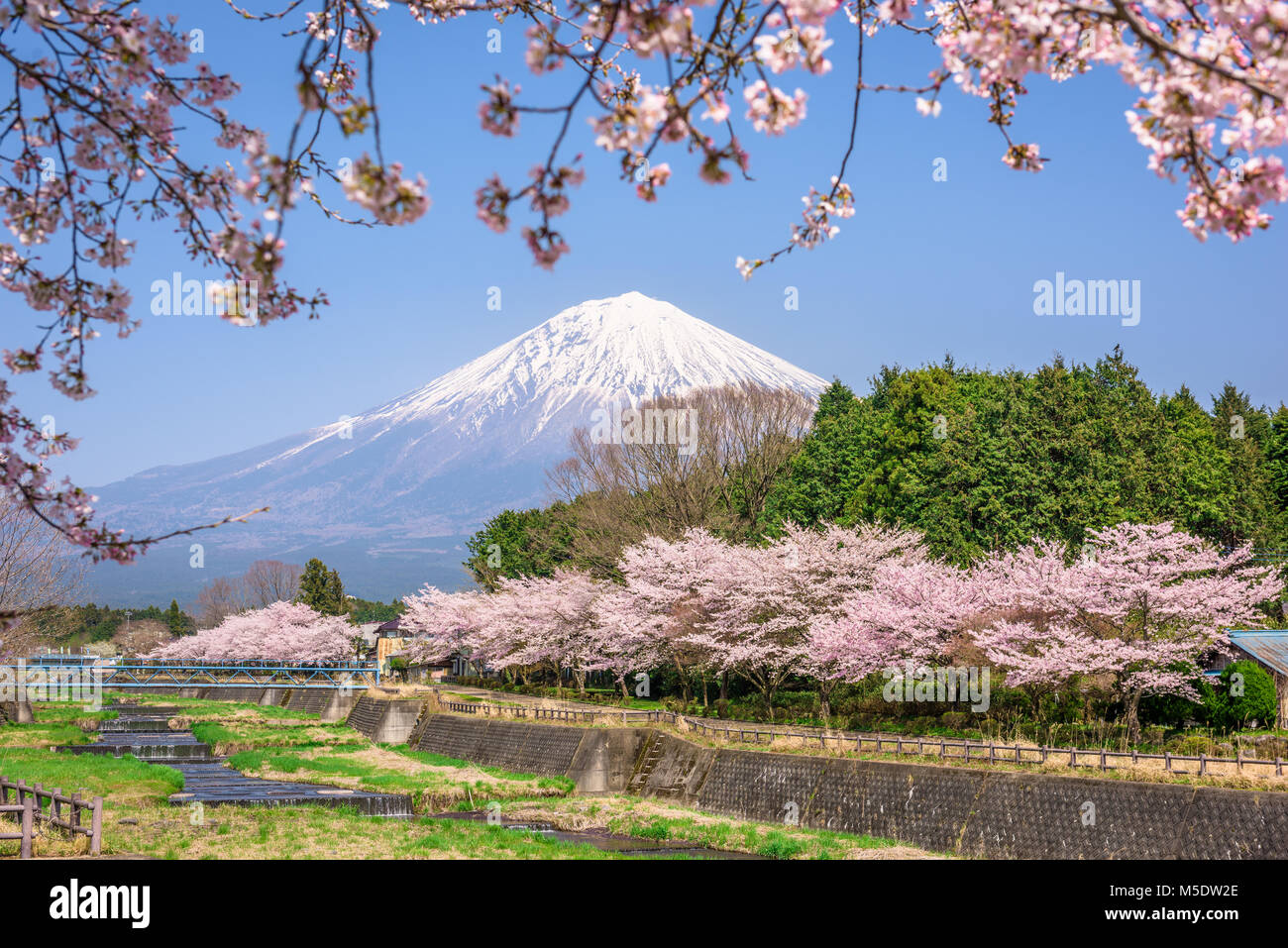 Mt. Fuji visto da rurale Prefettura di Shizuoka nella stagione primaverile. Foto Stock