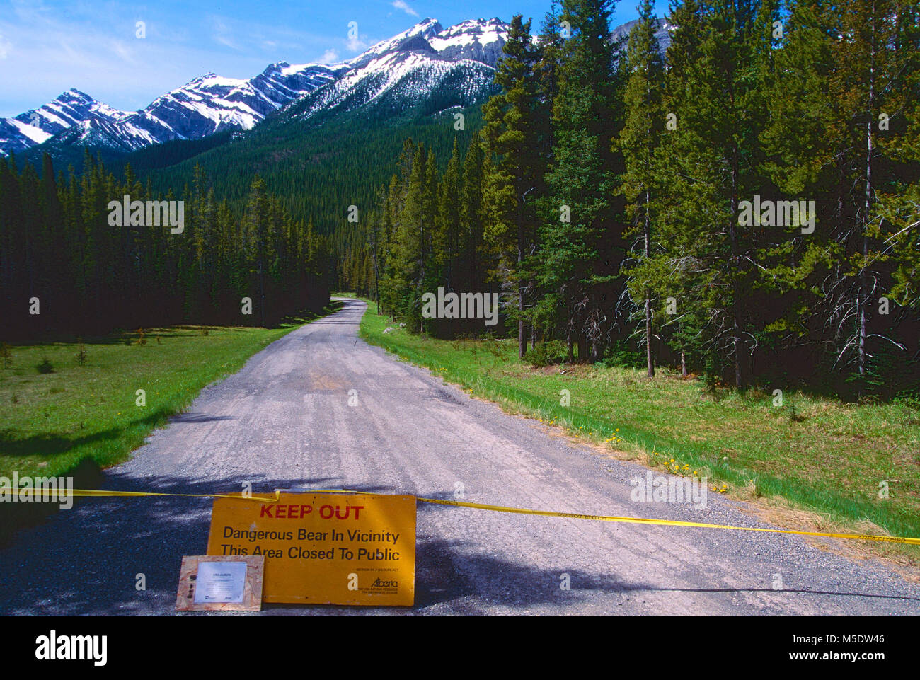 Blocco stradale, segnaletica di pericolo, orso pericoloso, Orso, Peter Lougheed Parco Provinciale, Alberta, Canada Foto Stock