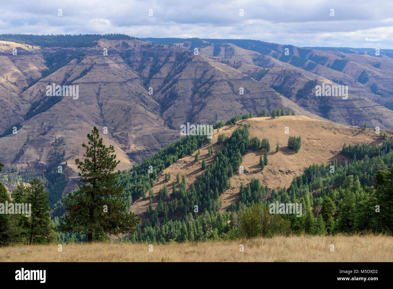 Nord America, USA, Pacific Northwest, Oregon, Snake River Canyon, Hells Canyon, Giuseppe Canyon, Foto Stock