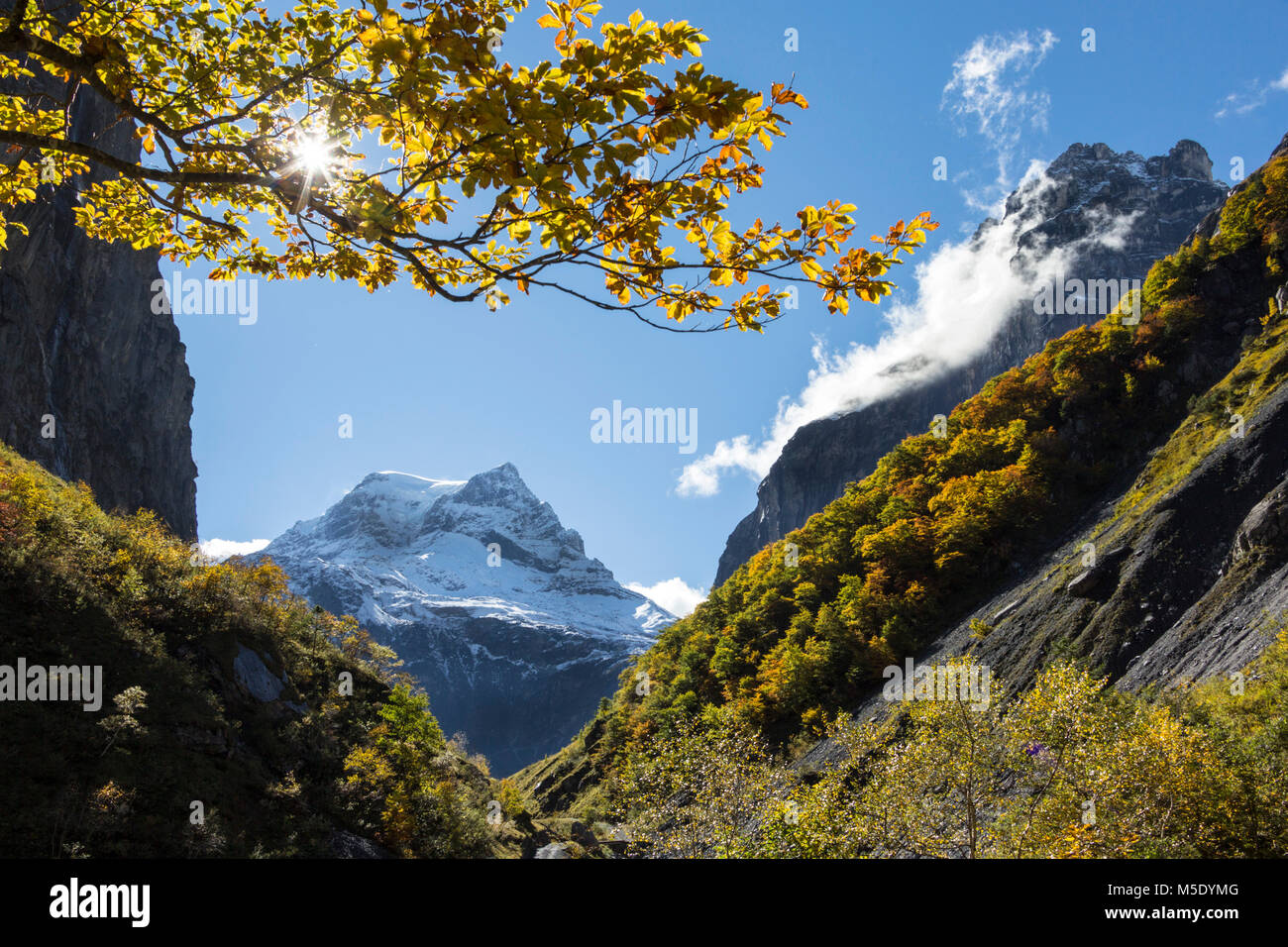Montagne, Alpi, prato, neve, passeggiate, escursioni, sky, alberi Foto Stock