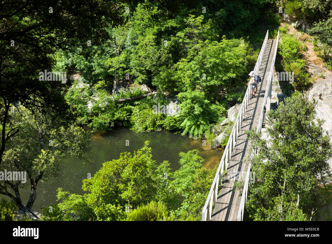 Escursionismo, passeggiate, estate, il ponte sul fiume, acqua, turisti, viaggiatori, legno, boccole, verde Foto Stock