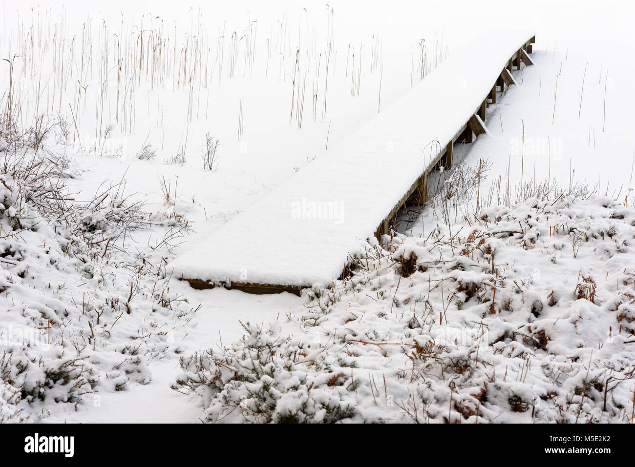 Piccolo e stretto molo in legno nella foresta invernale Lago di pesca, di neve e di ghiaccio sul lago e il paesaggio circostante. Foto Stock