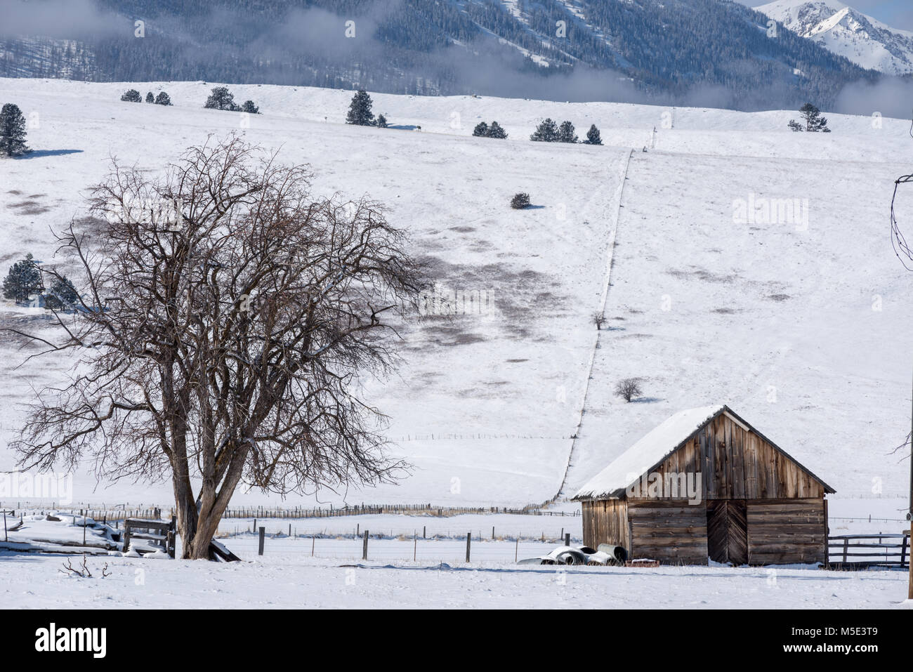 Vecchia fattoria shed, Wallowa Valley, Oregon. Foto Stock