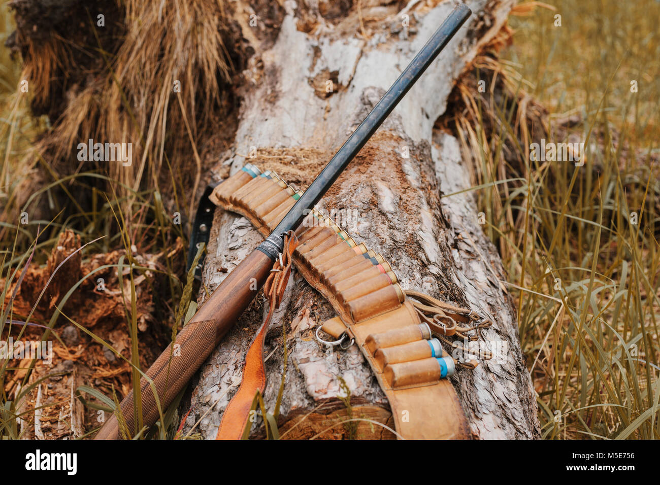 Autunno stagione di caccia. Caccia sfondo concettuale. Sport all'aperto. Foto Stock