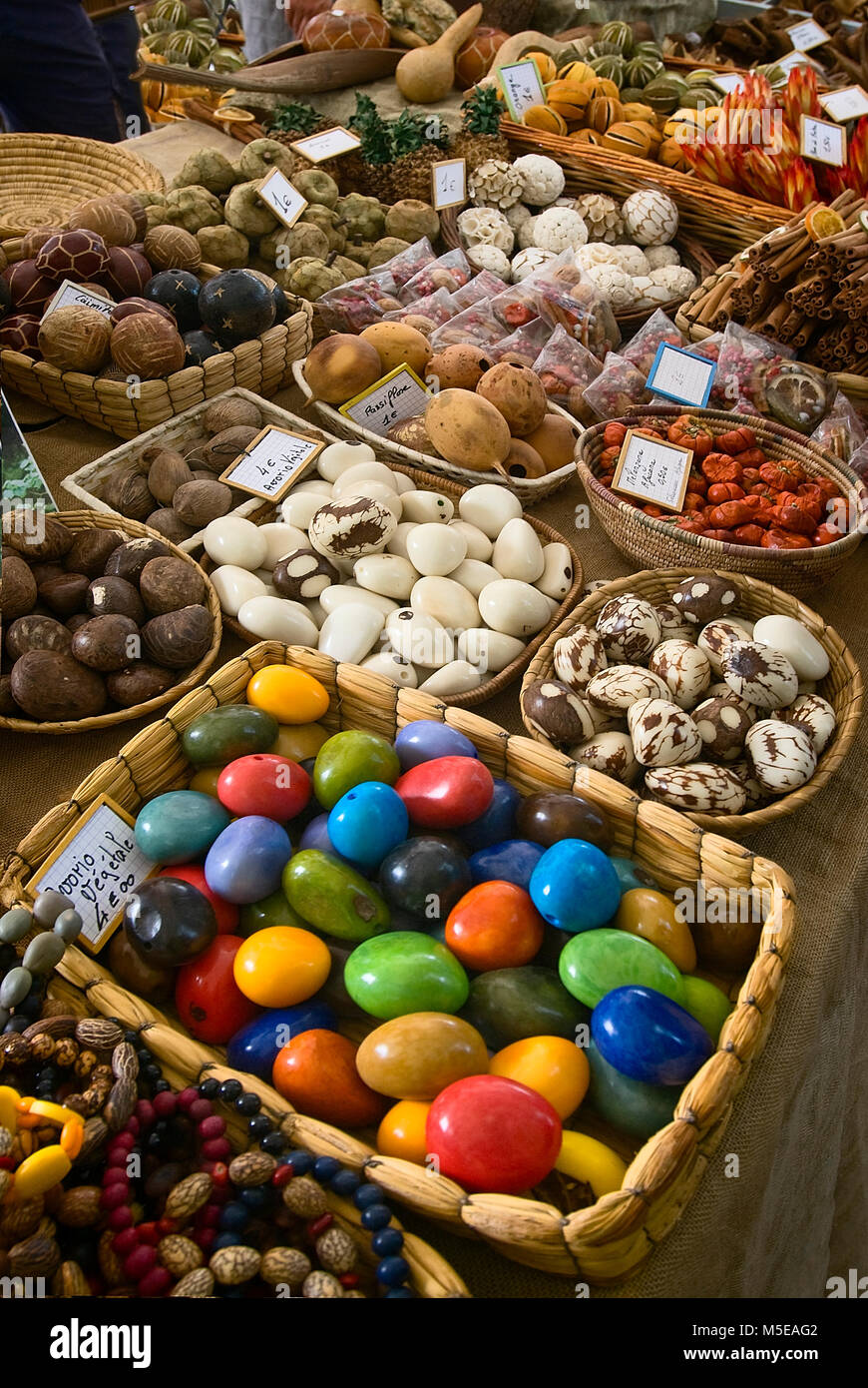 Avorio Vegetale o Tagua (Phytelephas macrocarpa) per la vendita al mercato Foto Stock