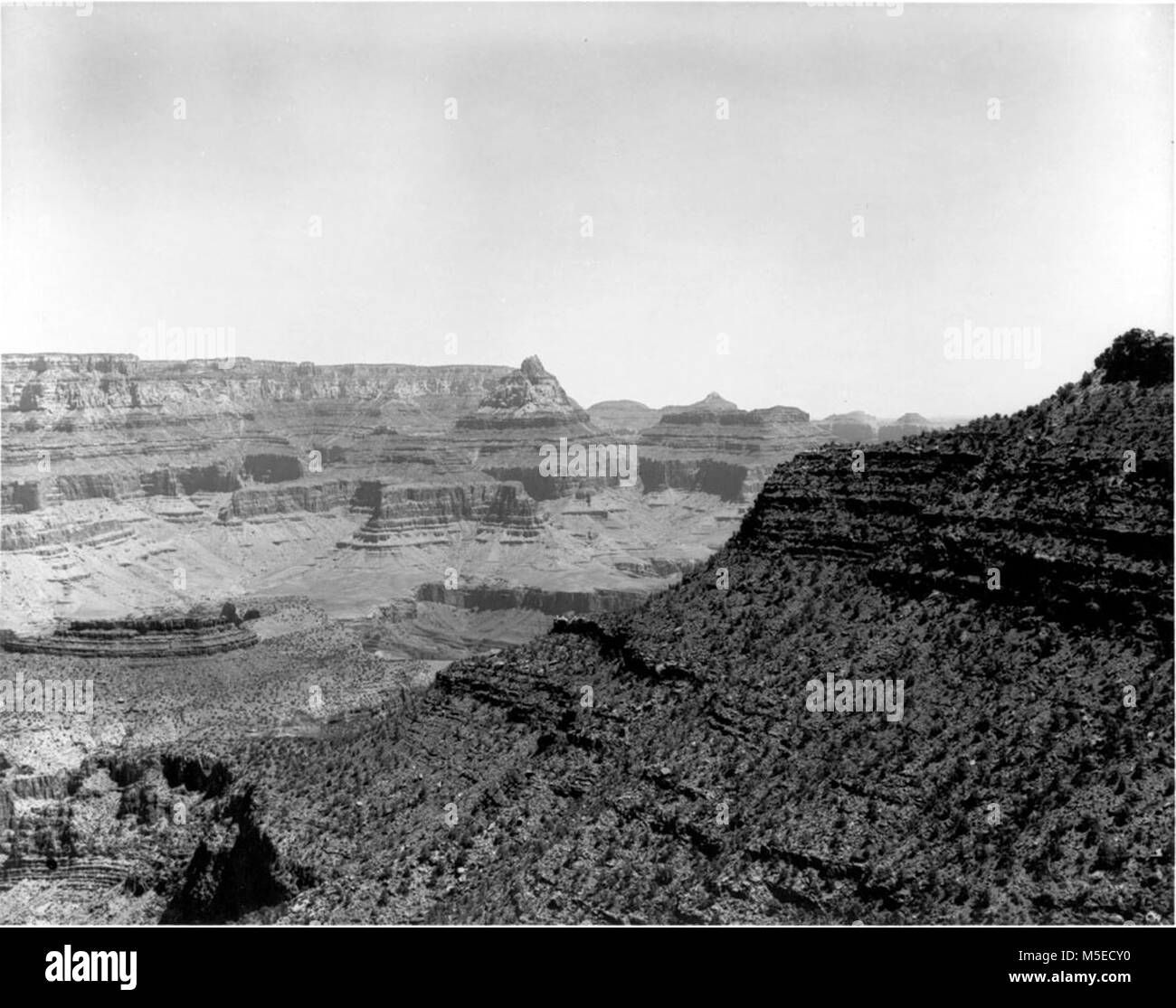 Grand Canyon Grandview Point PEABODY PIASTRA DI VETRO numero negativo 1609. Attraverso il canyon da GRANDVIEW TRAIL. Foto Stock