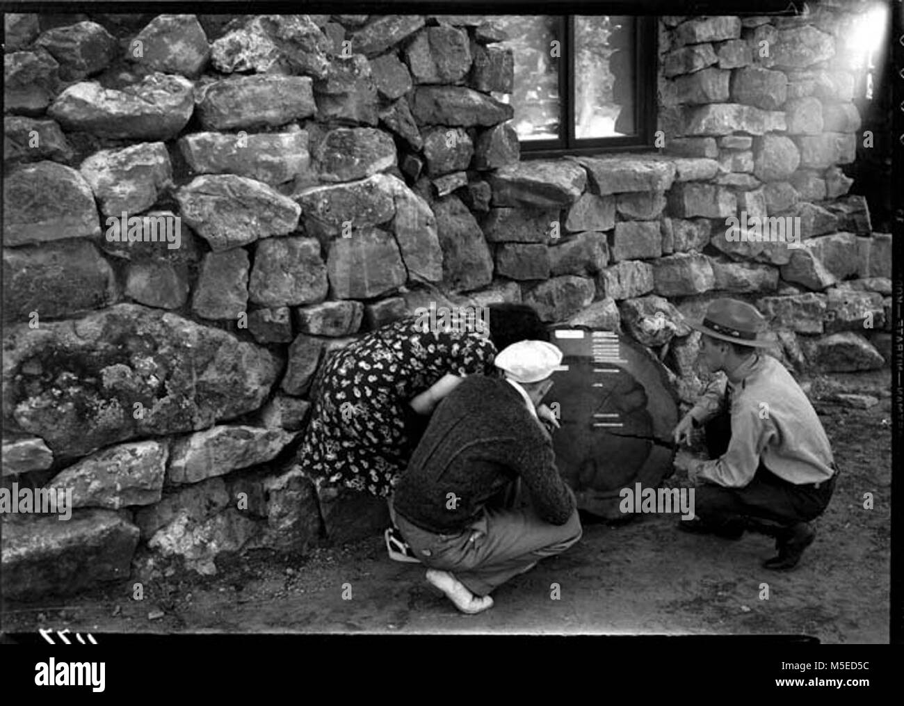 Grand Canyon Ranger ranger di interpretazione che mostra l'ANELLO ALBERO DI PRESENTARE AI VISITATORI AL DI FUORI DELLA STRADA O TUSAYAN MUSEUM. 1938 CIRCA Foto Stock