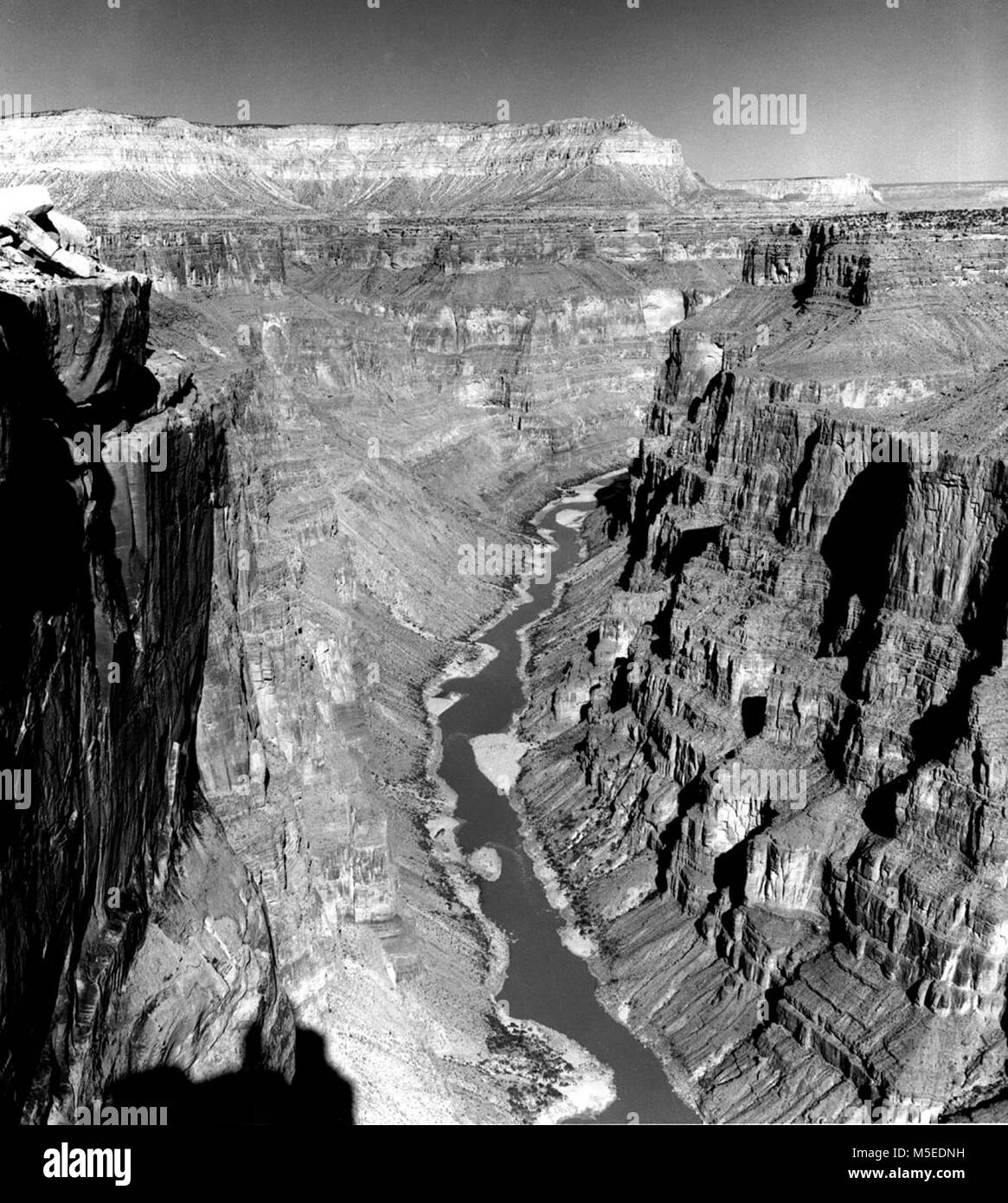 Grand Canyon ToroweapTuweep guardando verso est lungo scoscese scogliere in gola ed al fiume Colorado da TOROWEAP si affacciano. 22 Ott 1952 Foto Stock