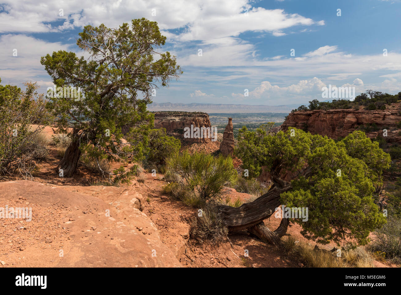 Indipendenza vista monumento, Colorado National Monument, Grand Junction, Colorado Foto Stock