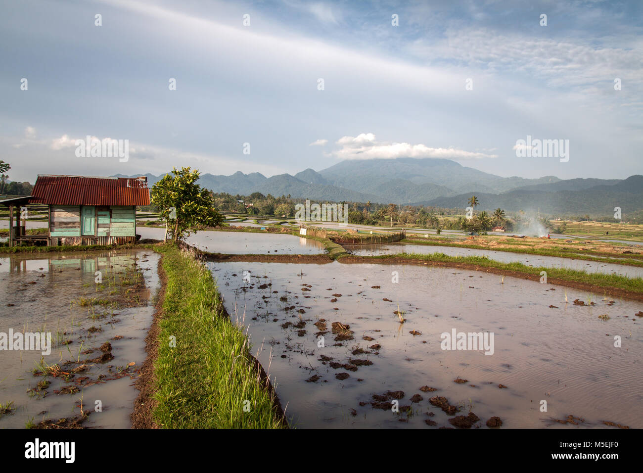 Terreni agricoli in Sumatra, Indonesia. Bella immagine di panorama di terre incolte o meglio ripartita risone terrazze in attesa per la coltivazione Foto Stock