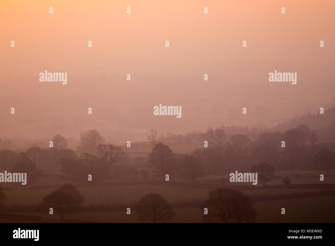 Flintshire, Wales, Regno Unito 23 febbraio 2018, UK meteo: Le temperature sono già cominciando a cadere come un artico massa aria si dirige verso il Regno Unito denominato bestia da est portando con sé molto freddo e neve nei prossimi giorni. Molti oggi si iniziano a sentire la come temperature è scesa ben al di sotto del congelamento la scorsa notte. Un freddo gelido e sunrise come nebbia di congelamento coprire il paesaggio rurale vicino al villaggio di Rhosesmor, Flintshire © DGDImages/Alamy Live News Foto Stock