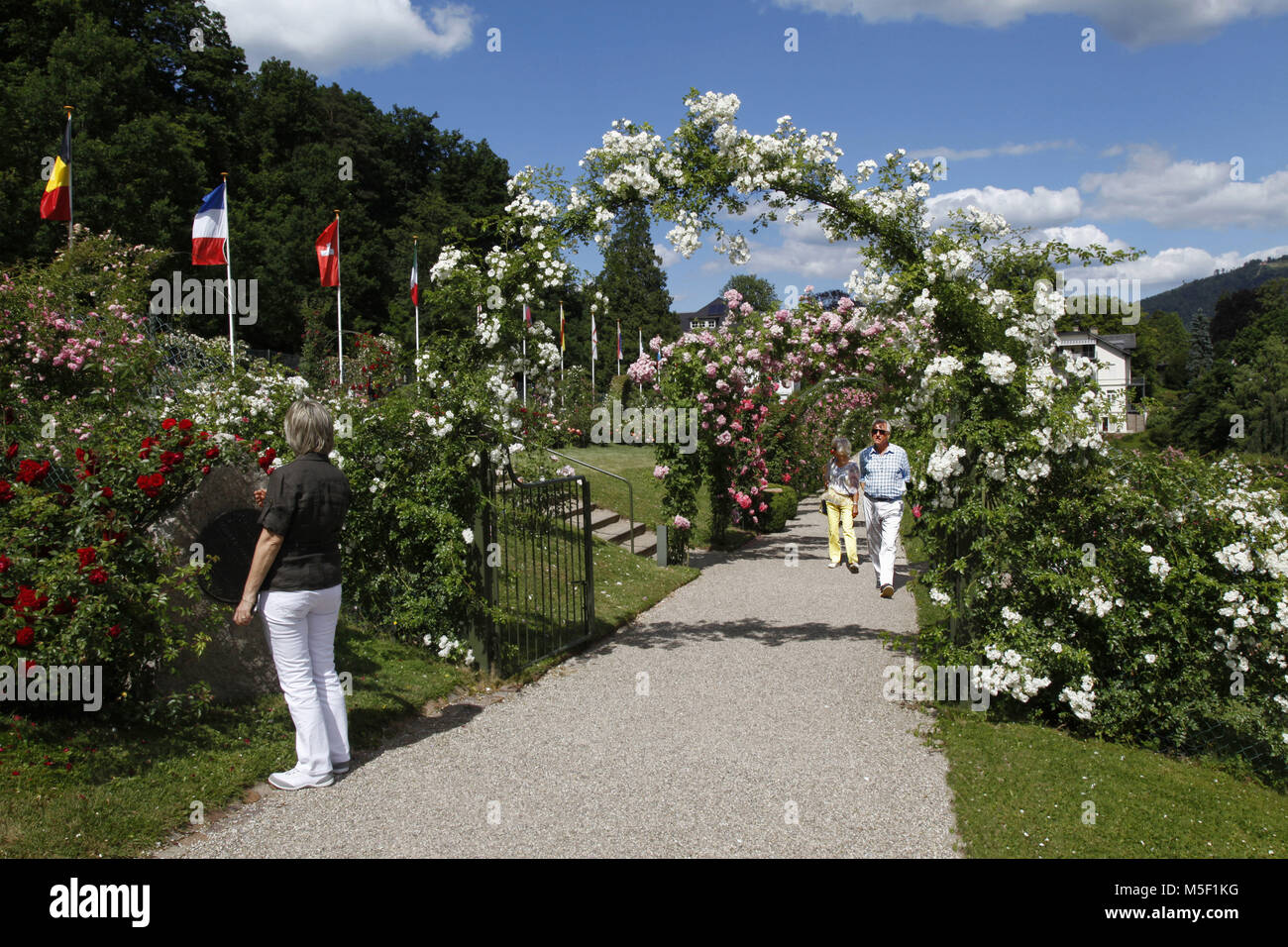 Baden Baden, Germania. Il 15 giugno, 2014. Giardino di Rose sul Beutig, Moltke Street, Baden-Baden, Baden-Wuerttemberg, Germania | Utilizzo di credito in tutto il mondo: dpa/Alamy Live News Foto Stock