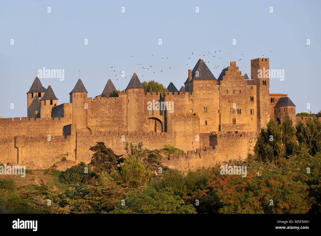 Carcassonne, Francia. Cittadella medievale.sottoinsieme Foto Stock