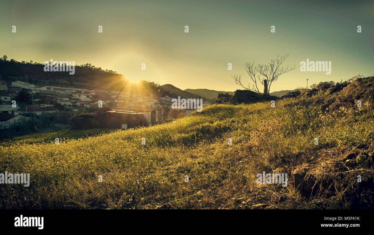 Raggi di sole illumina il campo Foto Stock