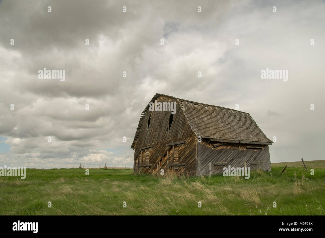 Alberta, Canada. Il vecchio fienile abbandonato su praterie su un nuvoloso giorno di primavera. Foto Stock
