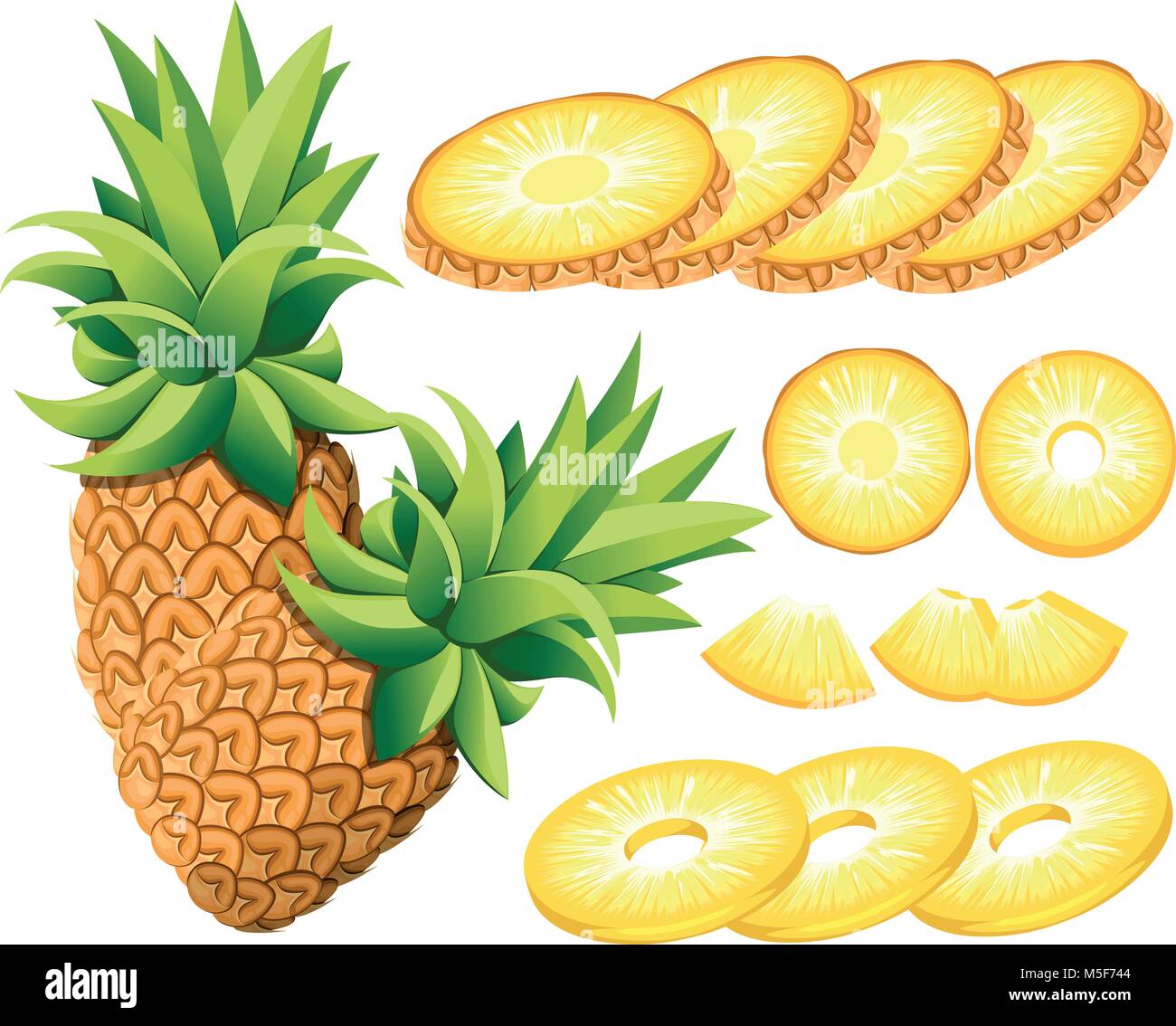 Ananas e fette di ananas . Illustrazione Vettoriale di ananas . Illustrazione Vettoriale per poster decorativi, emblema di prodotto naturale, gli agricoltori ma Illustrazione Vettoriale