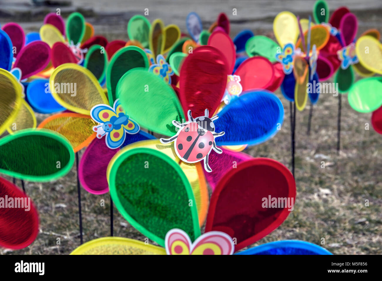 Lago di Palic, Vojvodina, Serbia - un sacco di giocattoli mulini a vento la filatura nel parco Foto Stock