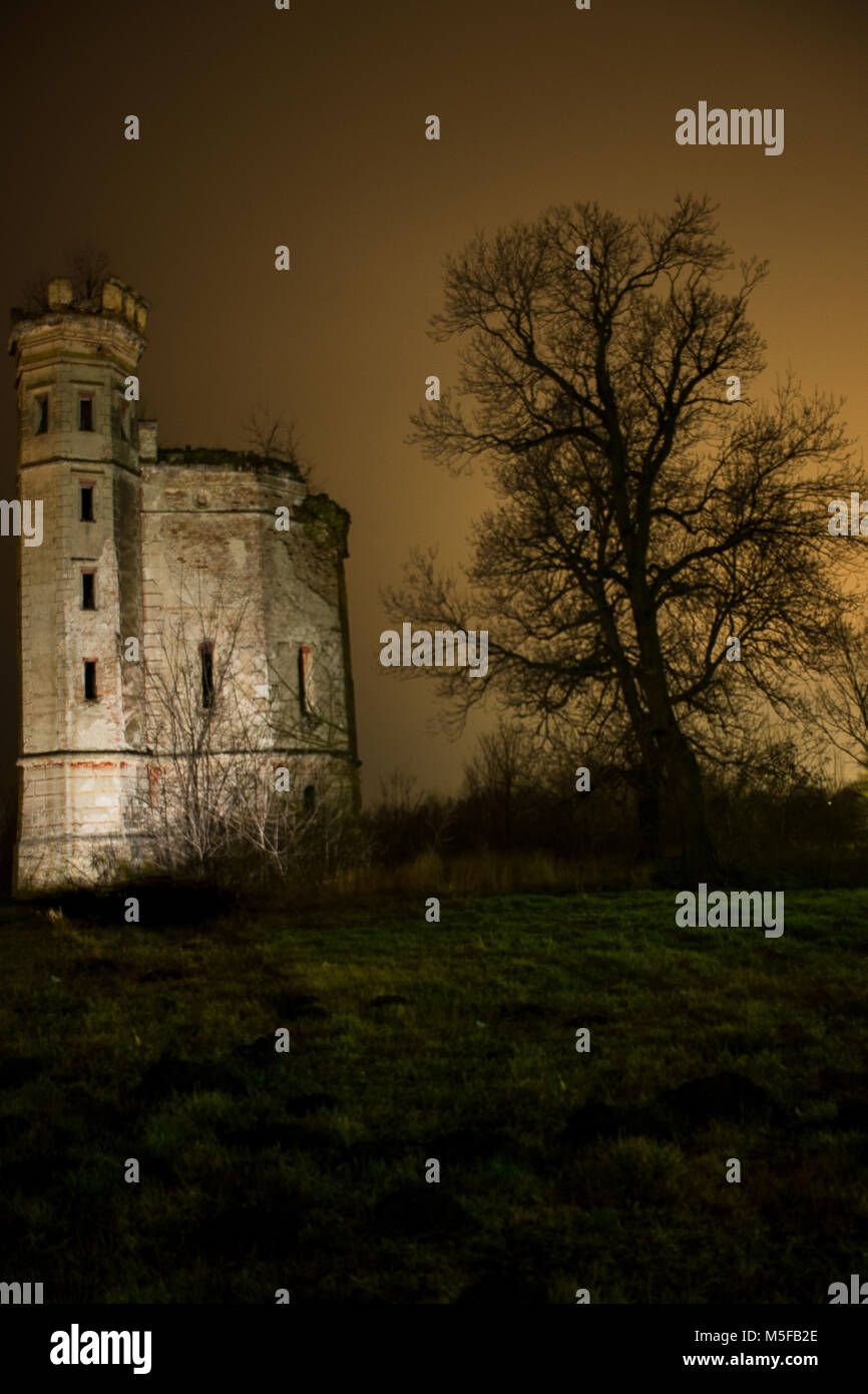 Foto verticale della fortezza vecchia e silhouette di albero Foto Stock