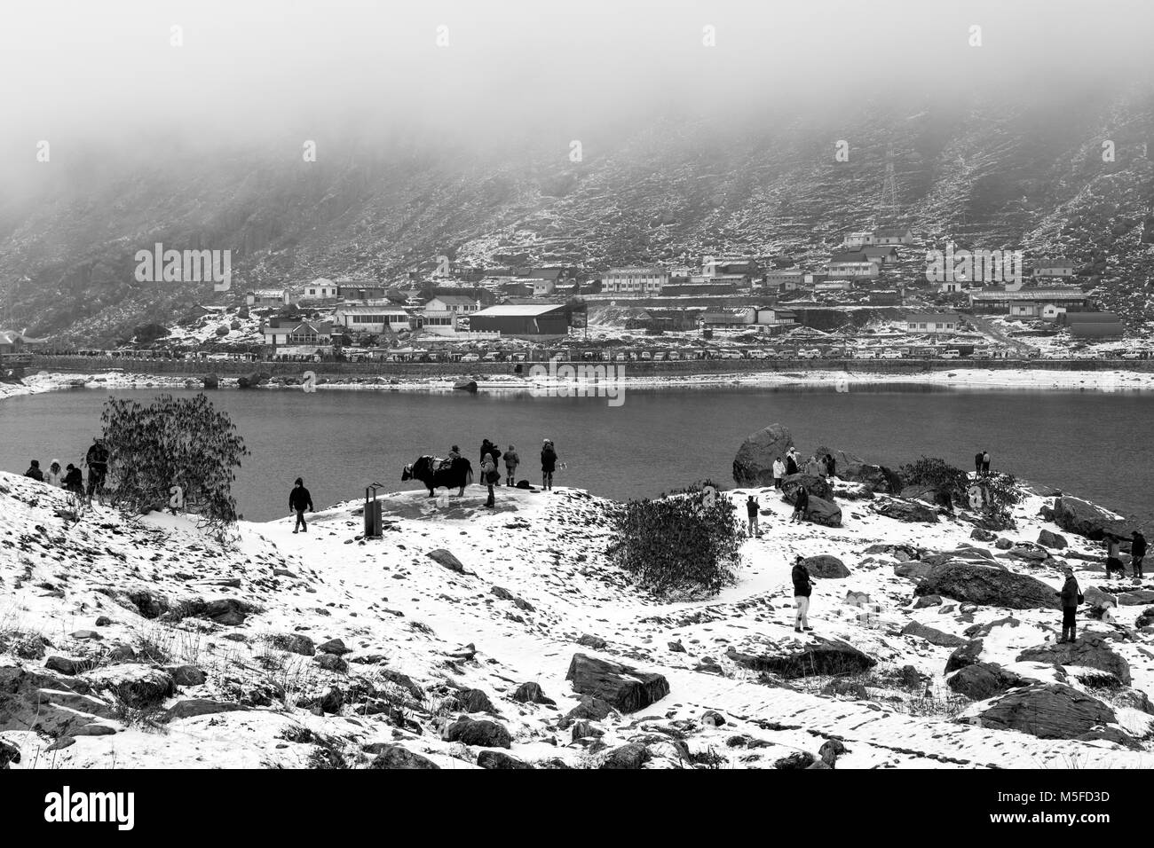 Il Sikkim, INDIA, 9 Marzo 2017: turisti a Tsomgo (Changu) il lago in Sikkim. È un sacro naturale lago glaciale sulla cima della montagna in Gangtok Oriente si Foto Stock