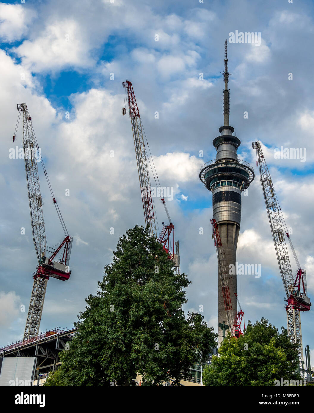 Gru e costruzione intorno alla torre della TV a Auckland, Nuova Zelanda Foto Stock
