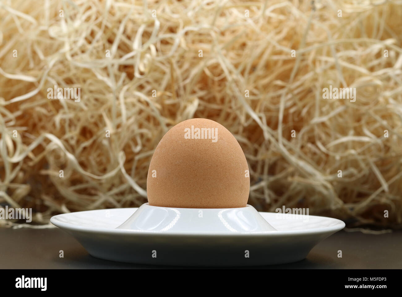 Uovo solo in tazza con lana di legno Foto Stock