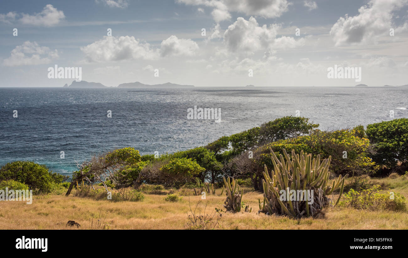 Vista da Saint Hilaire punto, Friendship Bay, Bequia, Grenadine Foto Stock