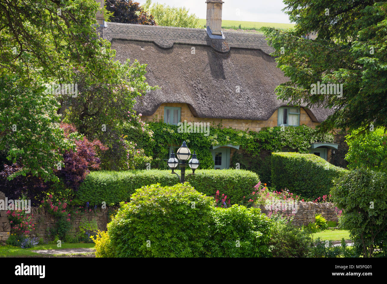 Grazioso tetto di paglia cottage inglese nelle zone rurali del Cotswold Campagna, piena di piante fiorite, arbusti e alberi, su una soleggiata giornata estiva . Foto Stock