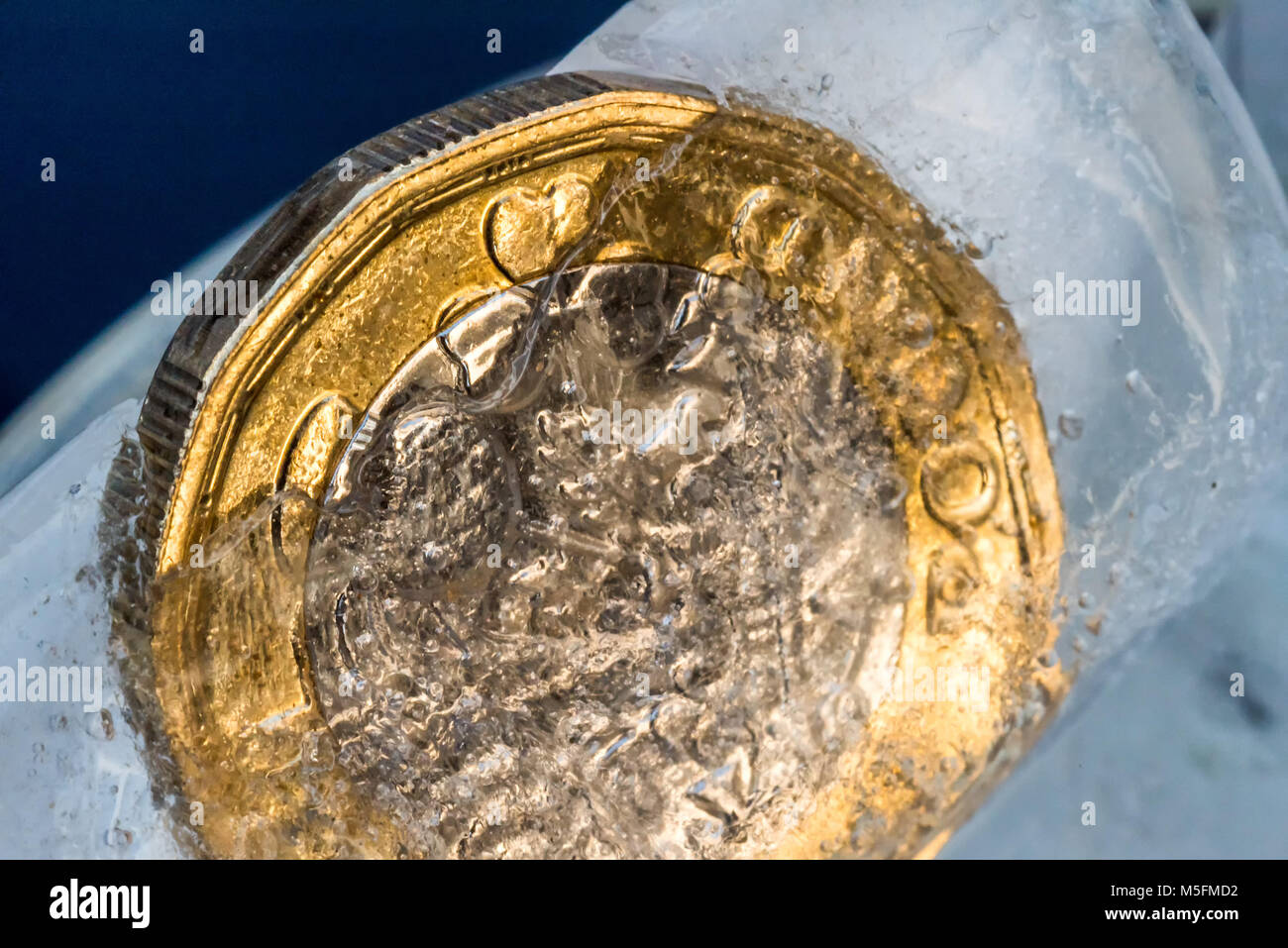 Congelati New British una sterlina moneta fino vicino all'interno della macro di cubetti di ghiaccio. Foto Stock