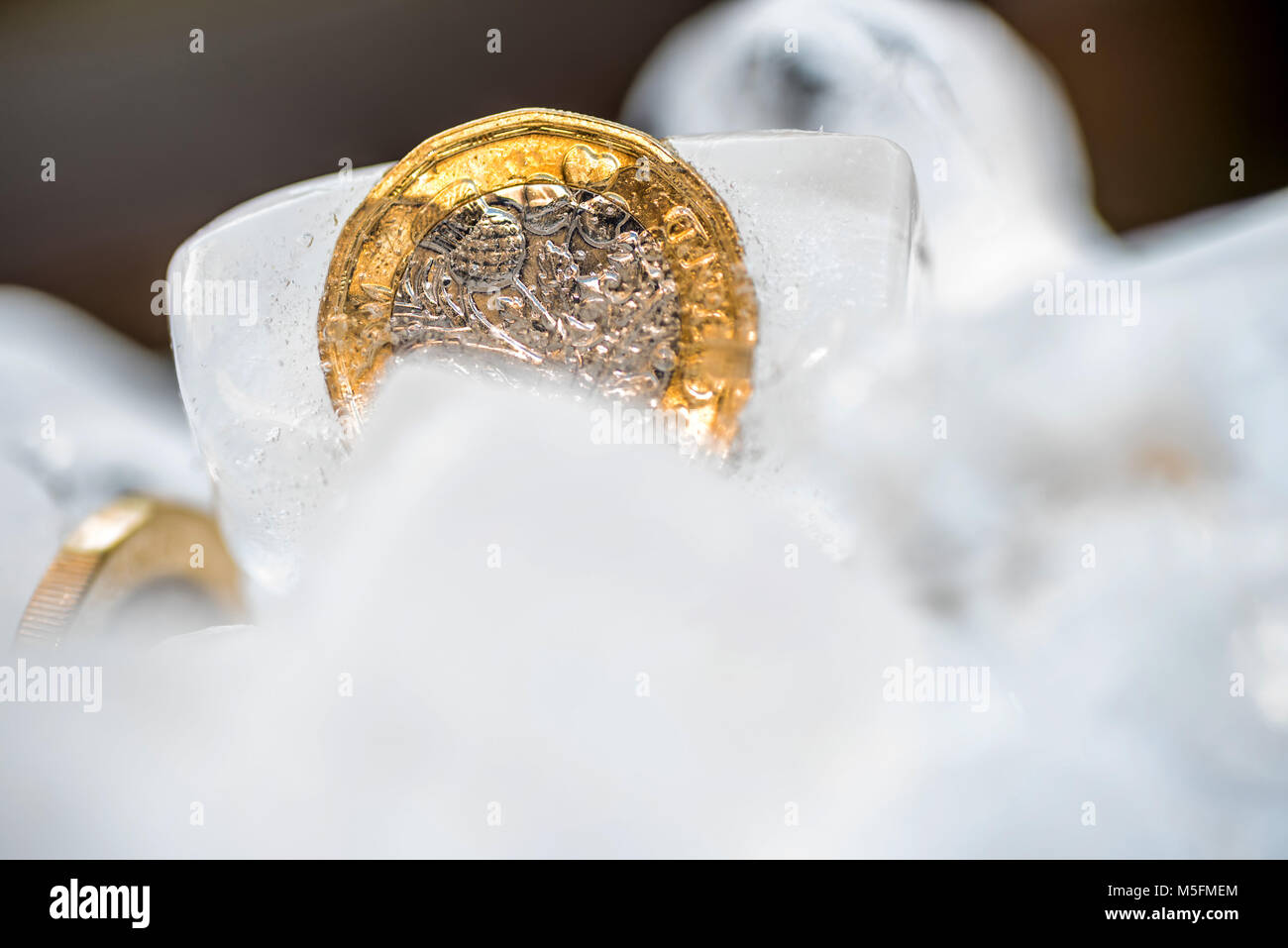 Congelati New British una sterlina moneta fino vicino all'interno della macro di cubetti di ghiaccio. Foto Stock