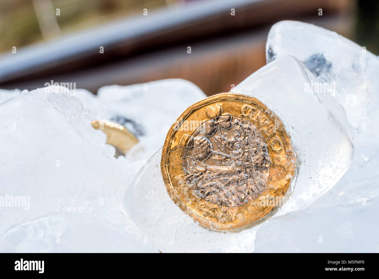 Congelati New British una sterlina moneta fino vicino all'interno della macro di cubetti di ghiaccio. Foto Stock