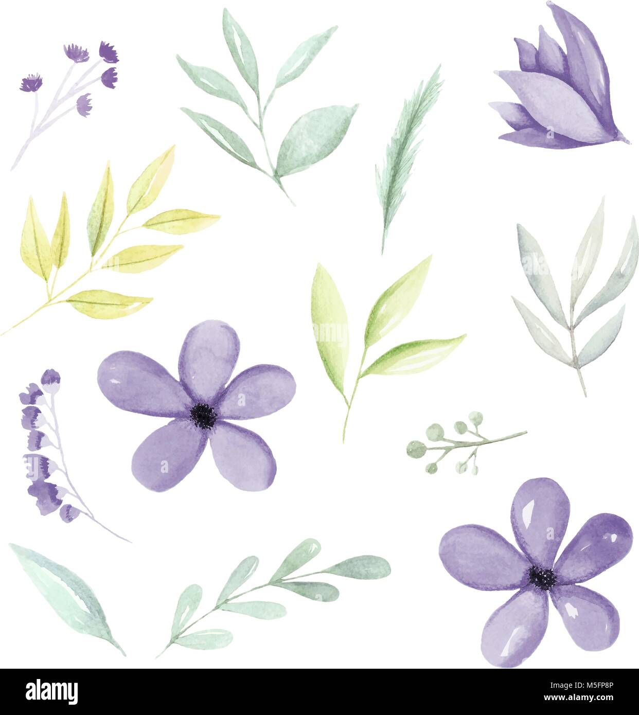 Viola acquerello elementi botanici, fiori, foglie e rami disegnati a mano. Acquerello Illustrazione disegnata a mano. Illustrazione Vettoriale