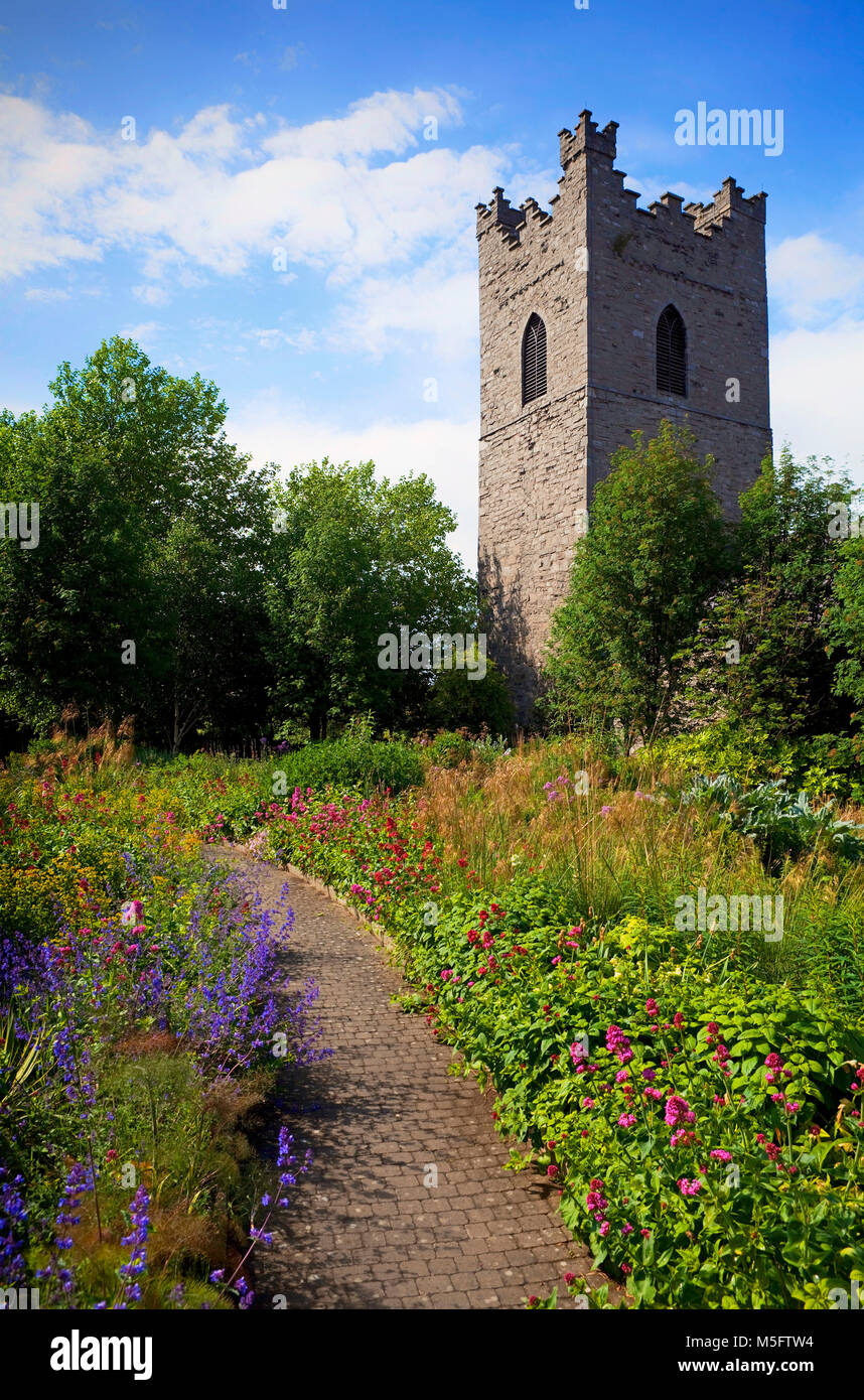 Giardini che circondano St Audoen è la Chiesa, costruito 1190, a Cornmarket nella vecchia parte medioevale della città di Dublino, Irlanda Foto Stock