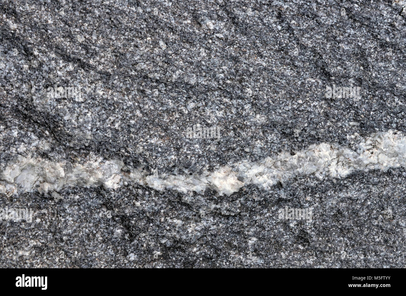 Vena di quarzo sul granito-gneiss rock, natura texture di granito-gneiss rock un gneiss roccia metamorfica che la trasformazione da granito roccia ignea e Foto Stock