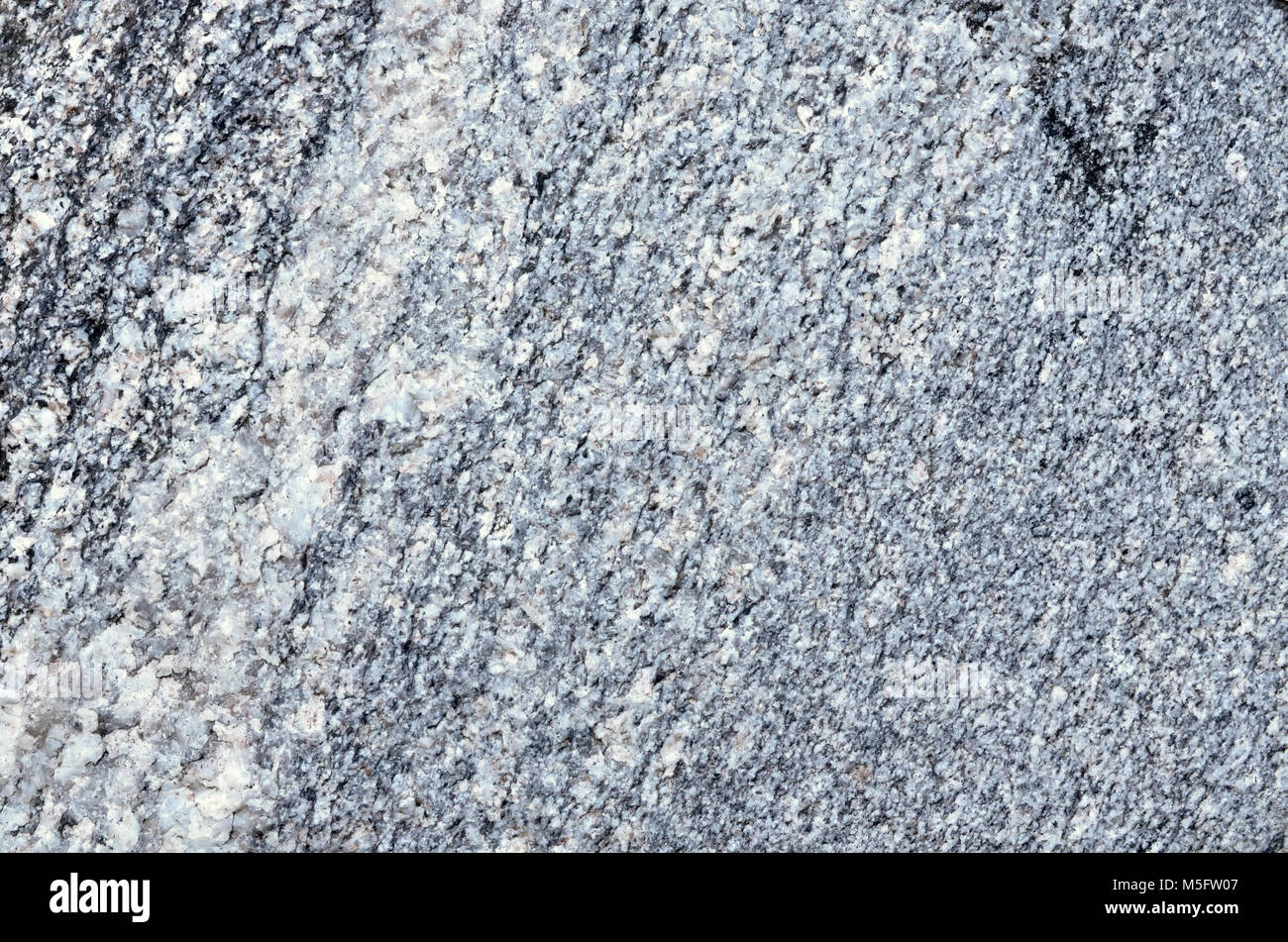 Vena di quarzo sul granito-gneiss rock, natura texture di granito-gneiss rock un gneiss roccia metamorfica che la trasformazione da granito roccia ignea e Foto Stock