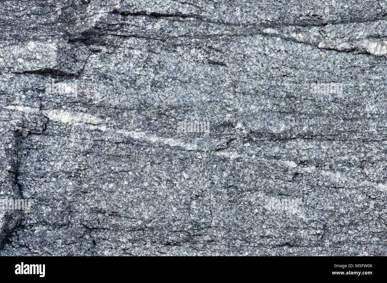 Vena di quarzo sul granito-gneiss rock, natura texture di granito-gneiss rock un gneiss roccia metamorfica che la trasformazione da granito roccia ignea e Foto Stock