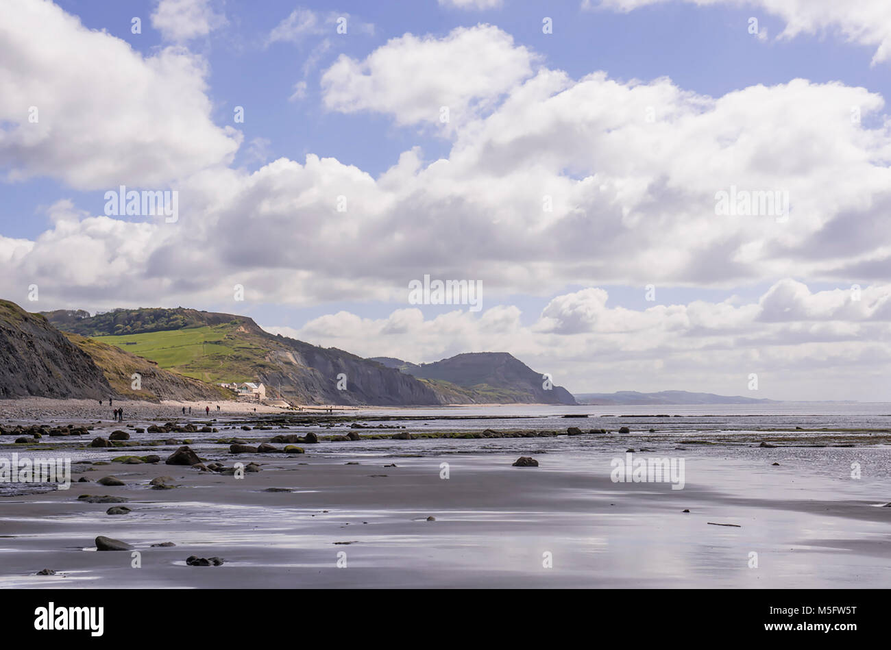 La vista su Golden Cap su Jurassic Coast Dorset presi da Charmouth beach con la bassa marea. Foto Stock