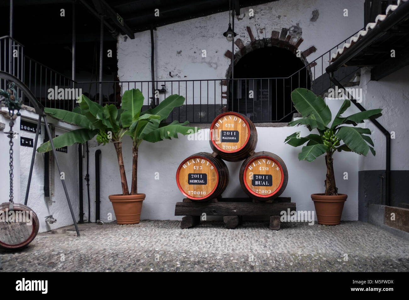Blandy's Wine Lodge, Funchal Madeira, una lunga stabiliti a Madera i produttori di vino e ha un eccellente centro visitatori nel centro di Funchal. Foto Stock