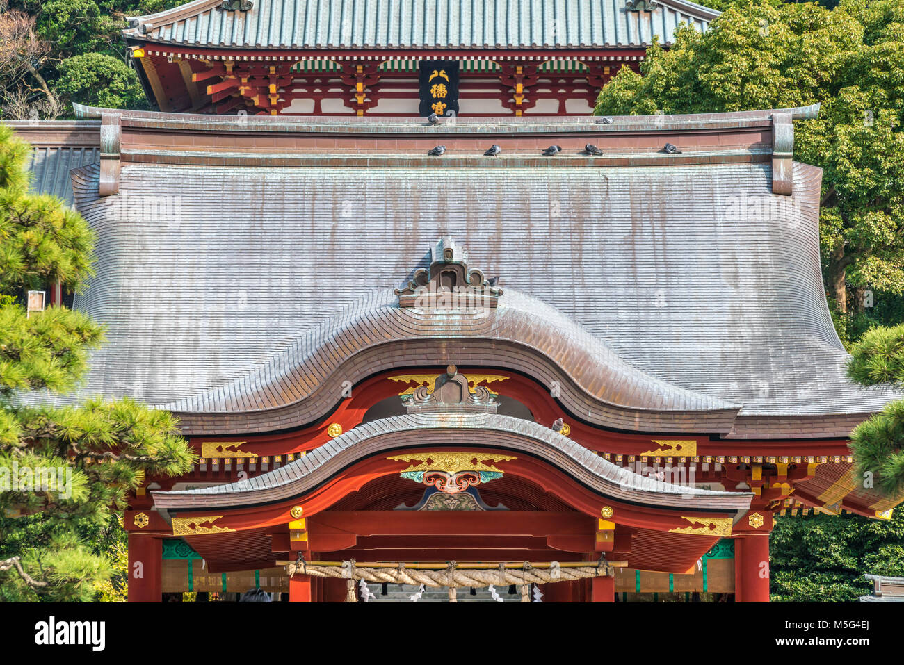 Tsurugaoka Hachimangu sacrario scintoista Maiden hall colmo del tetto dettaglio. Più importante santuario scintoista nella città di Kamakura, nella prefettura di Kanagawa, Giappone Foto Stock