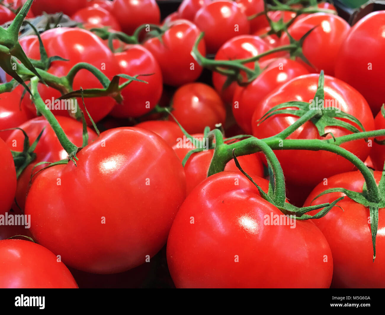 Gruppo di freschi pomodori ciliegia in close-up Foto Stock