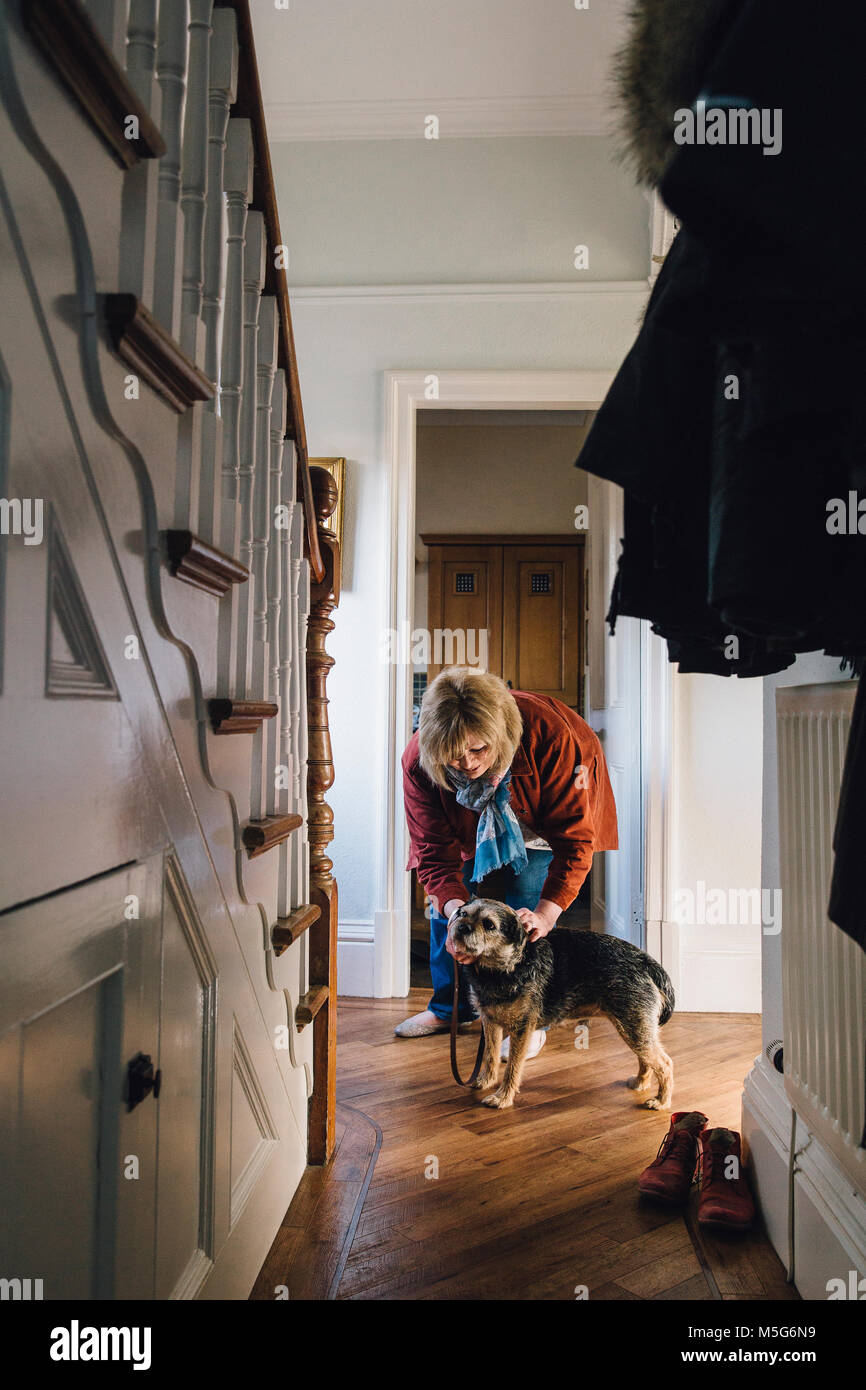 Senior donna è mettere un guinzaglio sul suo cane nel corridoio di casa sua, pronto a farlo uscire per una passeggiata. Foto Stock
