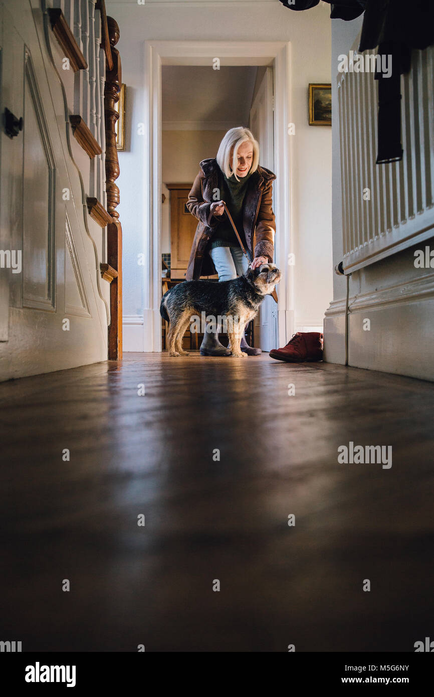 Senior donna è mettere un guinzaglio sul suo cane nel corridoio di casa sua, pronto a farlo uscire per una passeggiata. Foto Stock