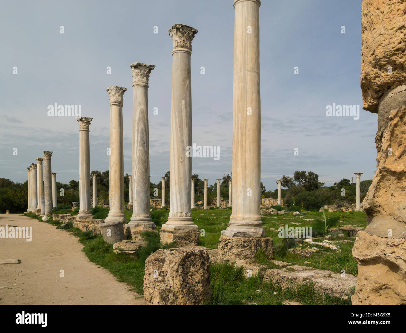 Righe colonne doriche di palestra in scavato antica città romana di Salamina Famagusta Repubblica Turca di Cipro del Nord con colonnato Palaestra Foto Stock
