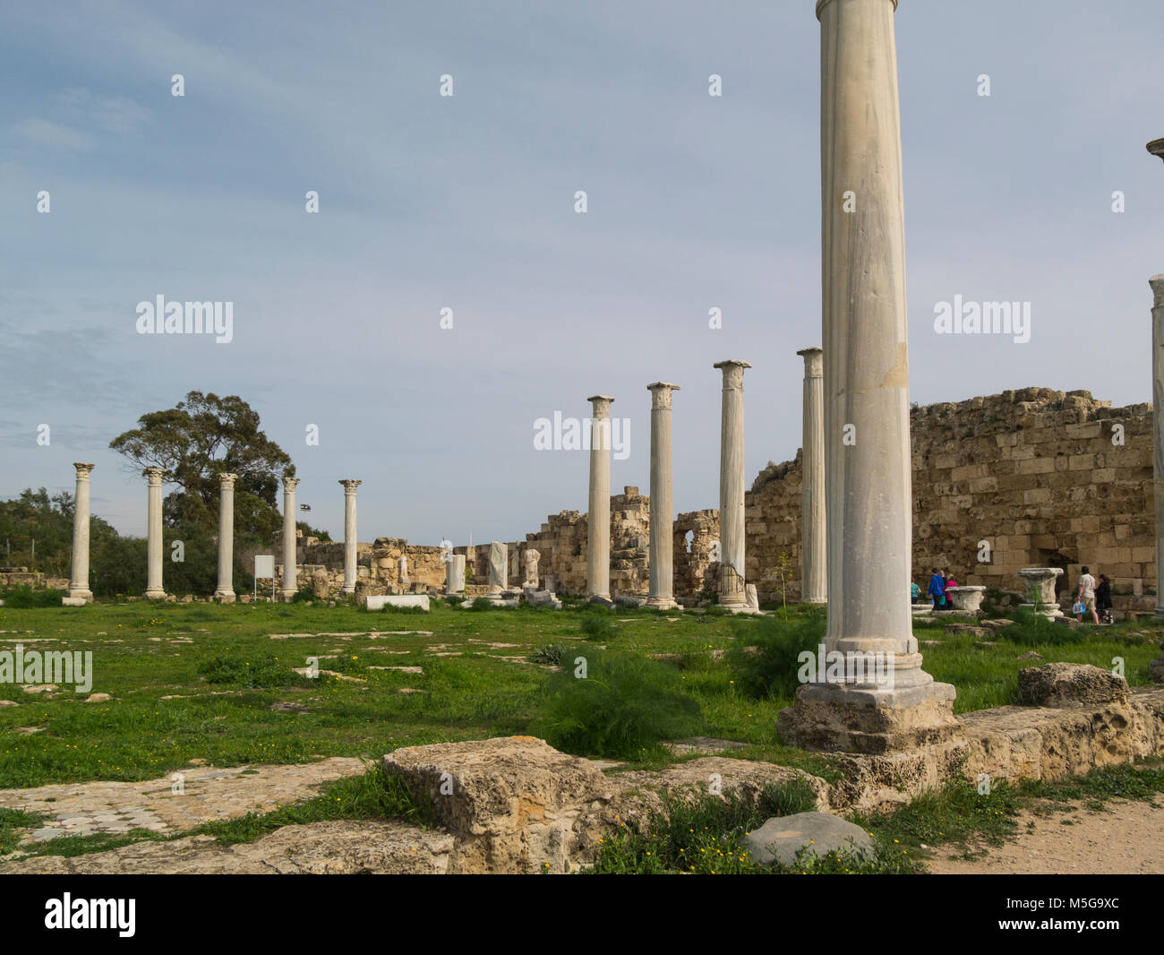 Righe colonne doriche di palestra in scavato antica città romana di Salamina Famagusta Repubblica Turca di Cipro del Nord con colonnato Palaestra Foto Stock