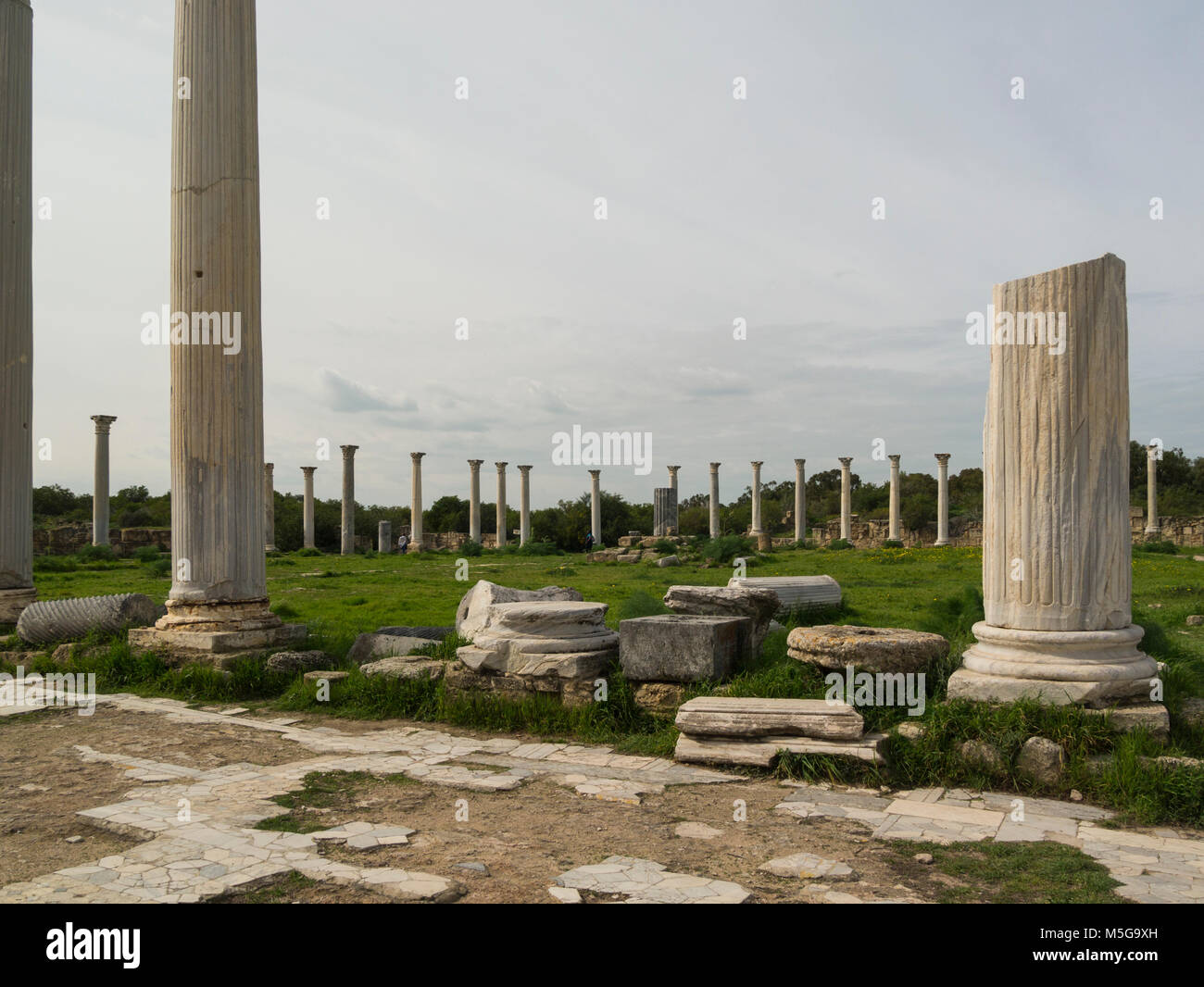 Righe colonne doriche di palestra in scavato antica città romana di Salamina Famagusta Repubblica Turca di Cipro del Nord Palaestra colonnato Foto Stock