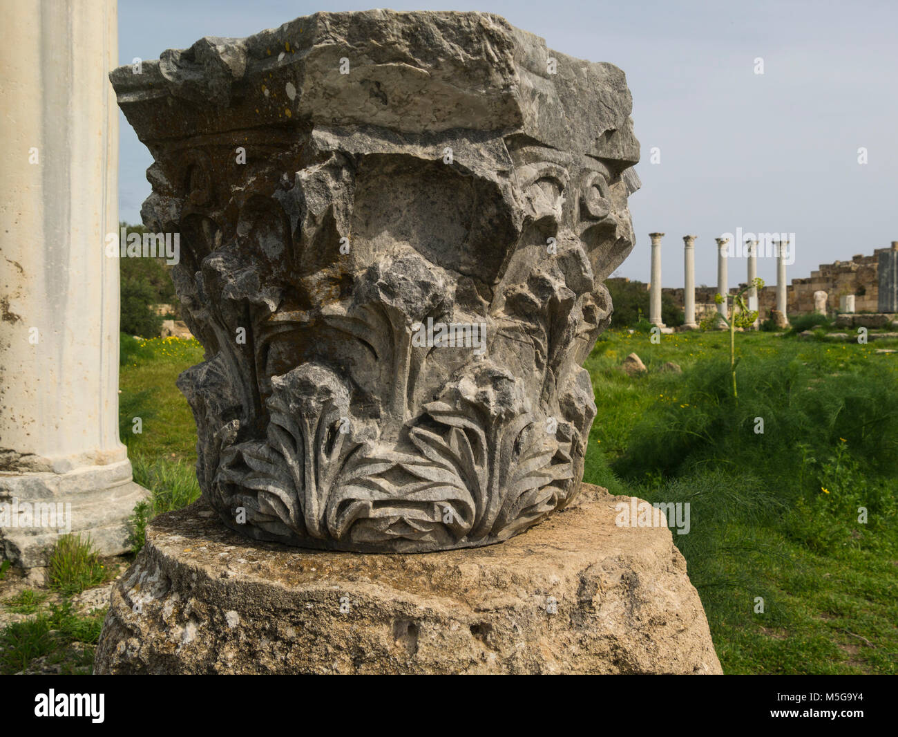 Decorazione su colonna spezzata scavato antica città romana di Salamina Famagusta Repubblica Turca di Cipro del Nord in palestra parte monumentale del sito Foto Stock