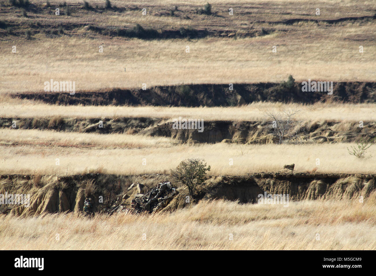 Asciugare libero Stato paesaggio con erosione del suolo, stato libero, Sud Africa Foto Stock