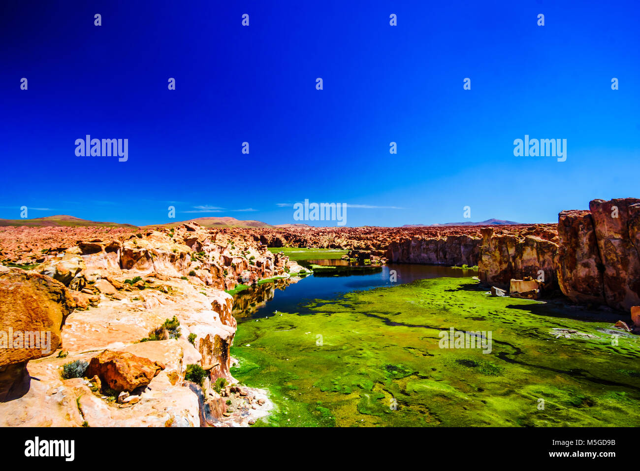 Vista sulla laguna nera nell'altipiano della Bolivia Foto Stock