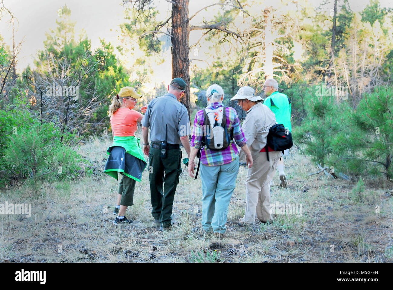 Parco Nazionale del Grand Canyon Grandview Attiva gruppo sentieri delle pause per indagare sulle piante native sul loro Giugno 2012 Grandview a piedi. Grand Canyon percorsi attivi attività promuovere uno stile di vita sano e comunità di interagire attraverso le passeggiate, il trekking e la mountain bike. Gli eventi includono incentivi per promuovere l'esercizio al proprio ritmo. Una chiave incentivo offerto è una cassaforte, educative e ambiente di sostegno che si estende al di là di cui hanno partecipato gli eventi. Mentre finalizzata alla comunità locale, i membri del pubblico sono invitati a partecipare. Durante il 2012, il Grand Canyon percorsi attivi sponsorizzato una serie di eventi Foto Stock